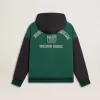 Grön och blå vändbar hoodie för herr