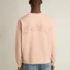Puderrosa sweatshirt med omvänd logotyp på baksidan – Jersey Capsule